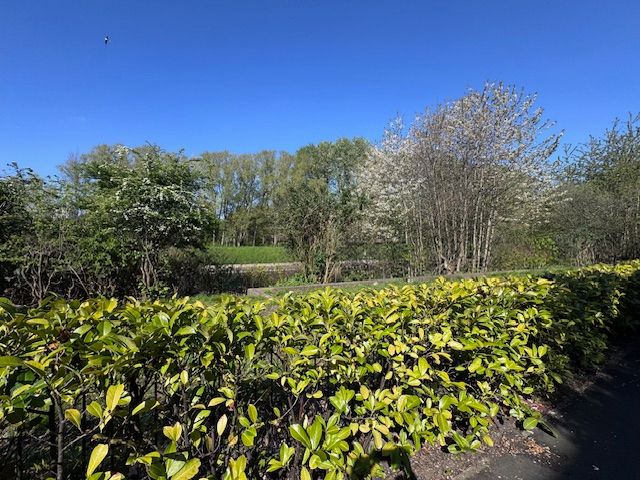 Property photo 3 of 42