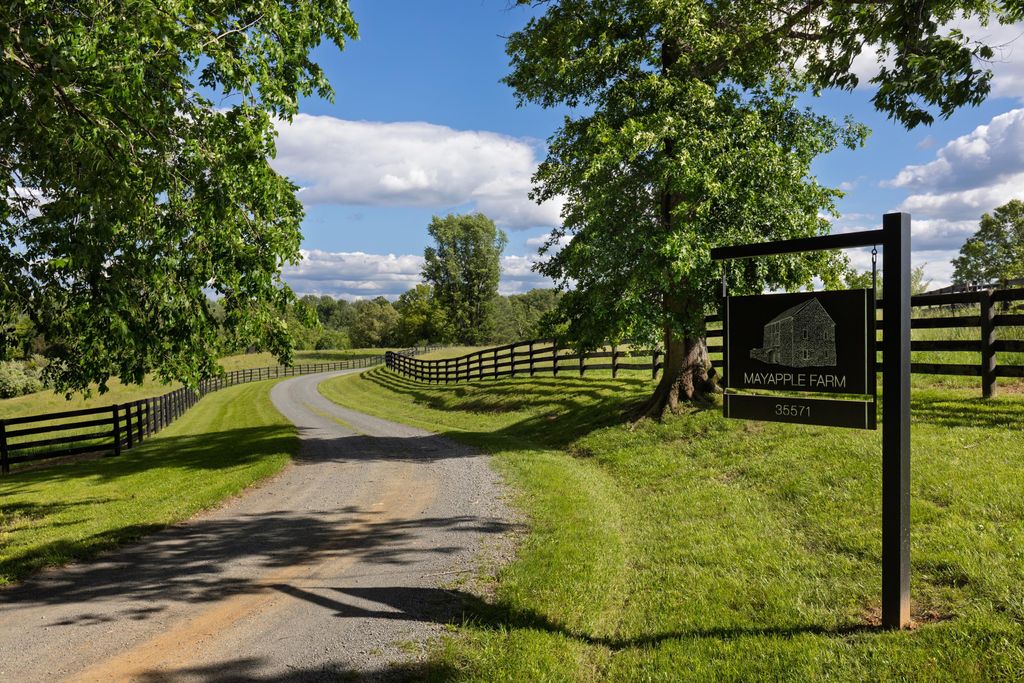 Property photo 3 of 45