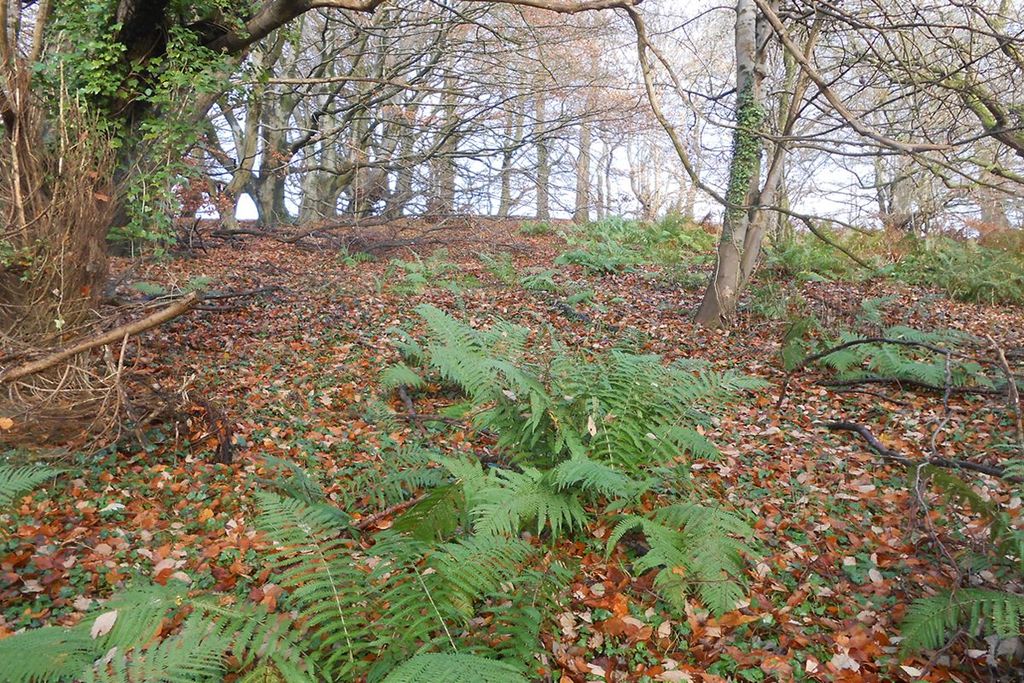 Property photo 3 of 9