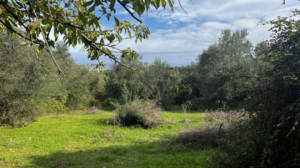 Property photo 2 of 3 Land