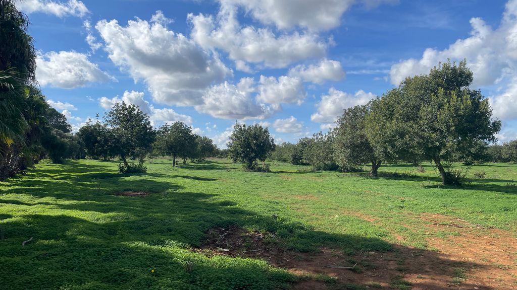 Property photo 1 of 1 Img_0198.Jpg