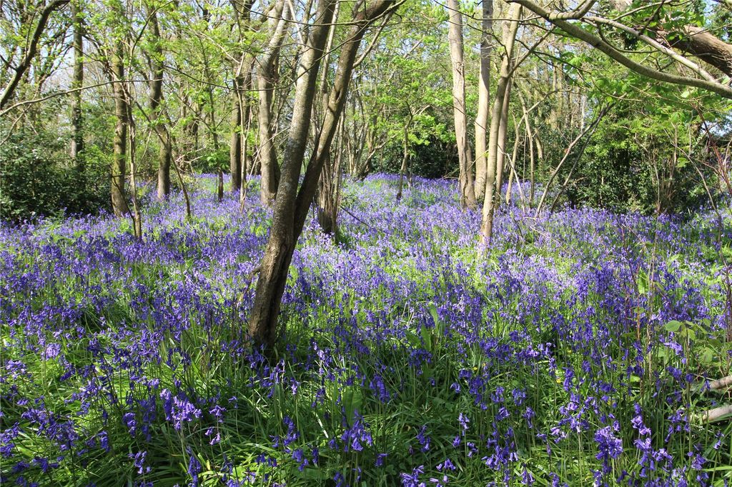 Property photo 3 of 16 Bluebell Wood