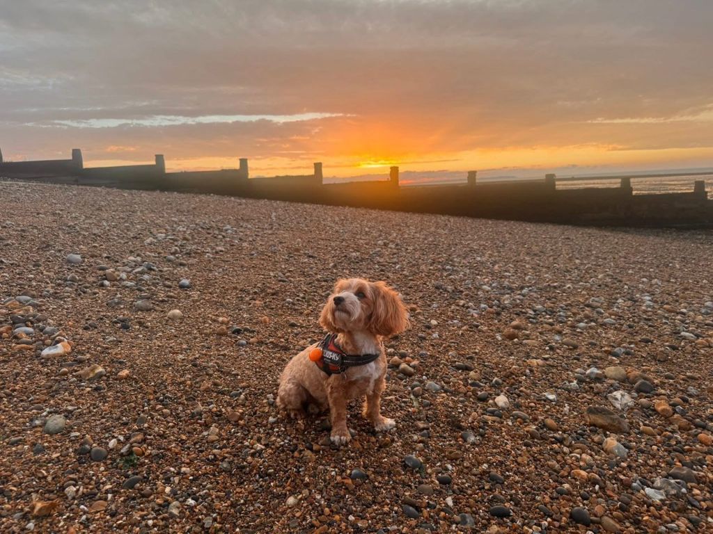 Property photo 2 of 9 Delta Ascot 2017 Car0055355 118314745.Jpeg