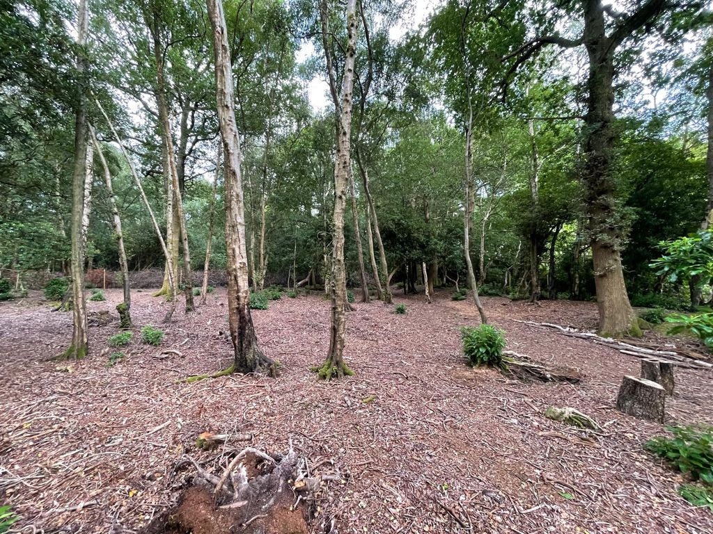 Additional image 4 of Land for saleForest Road, Colgate, Horsham RH12