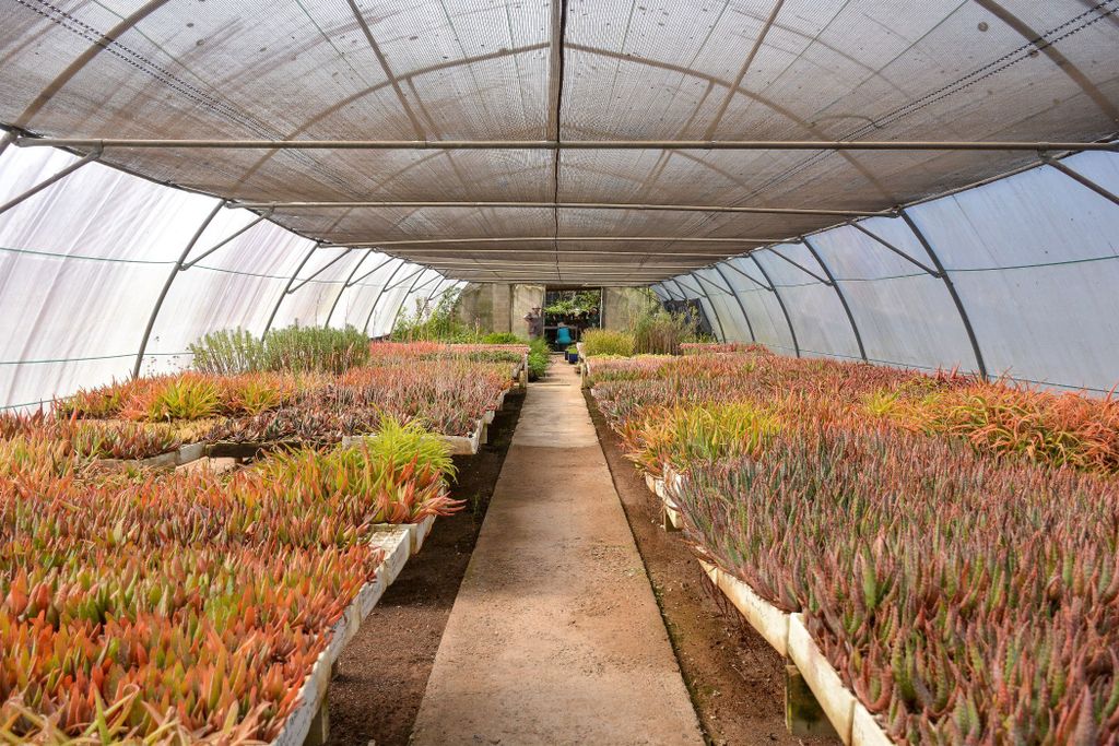 Property photo 3 of 80 1Pm1720203