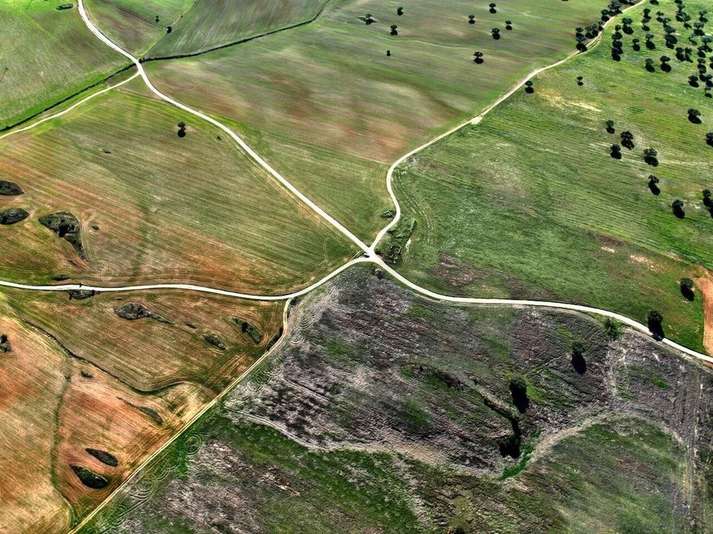 Property photo 1 of 24 Exclusive Opportunity In The Heart Of Alentejo: Agricultural Potential Terrestrial Plot In Castro Verde