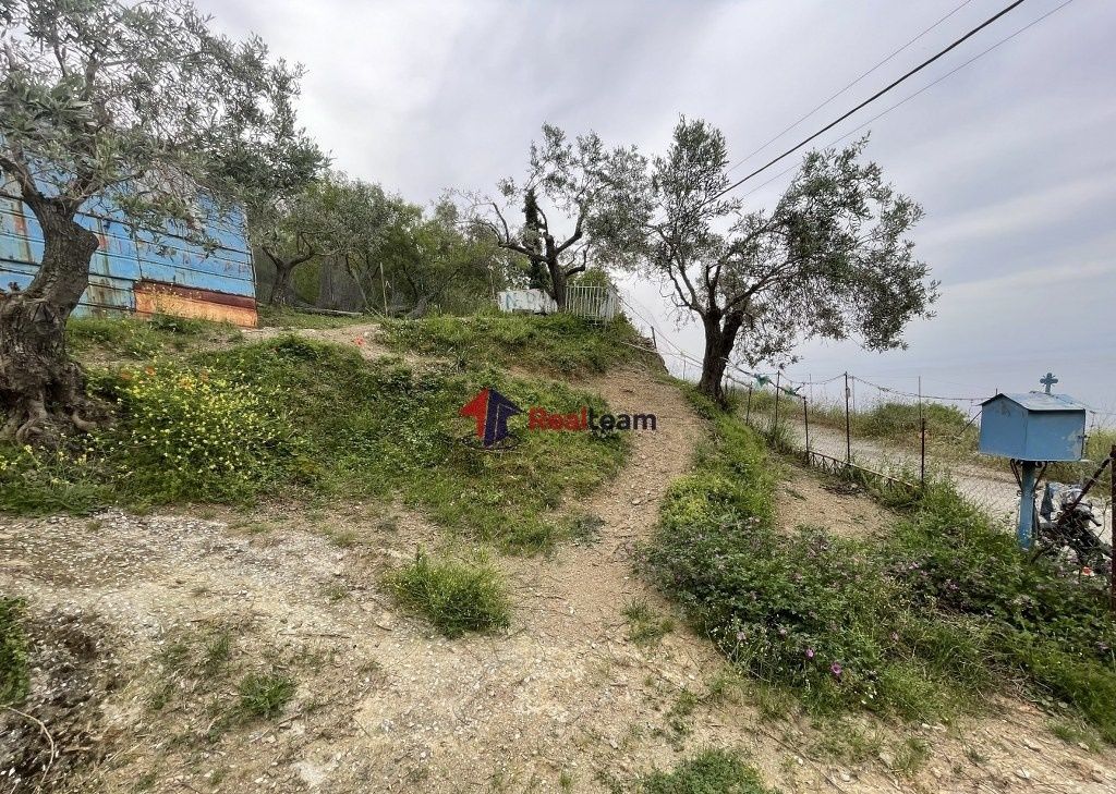 Property photo 3 of 25