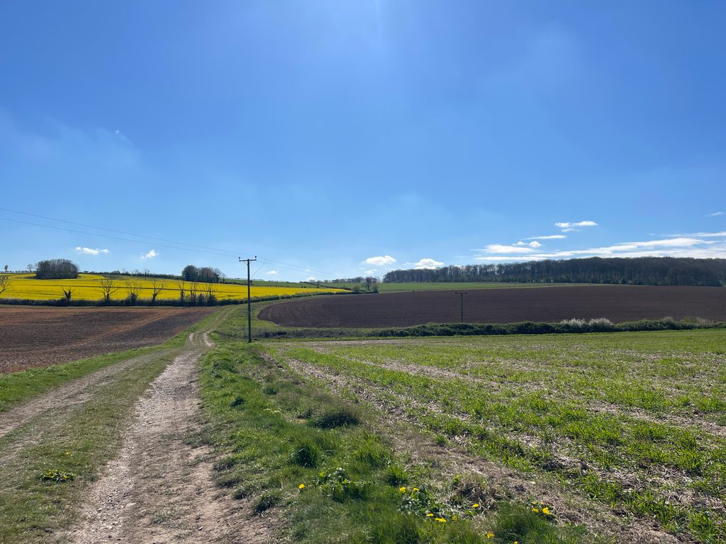 Additional image 6 of Farm for saleHaugham Pastures, Little Cawthorpe, Louth LN11