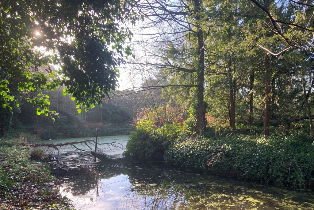 Property photo 3 of 4 Land On The South Side Of Farm Hill Road Waltham Abbey En9 1Lh