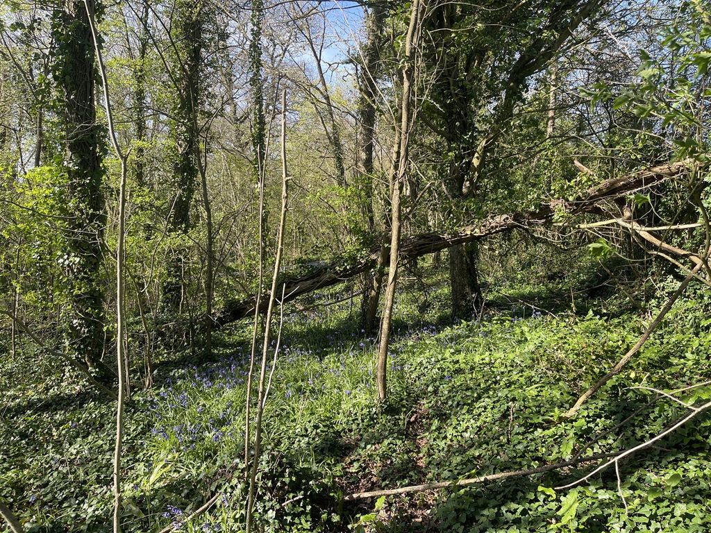 Property photo 2 of 8 2