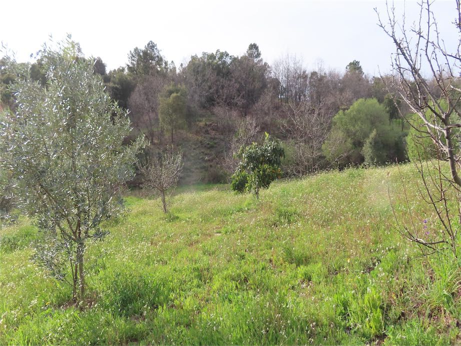 Property photo 1 of 31