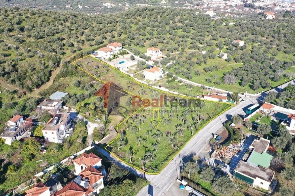 Property photo 3 of 24