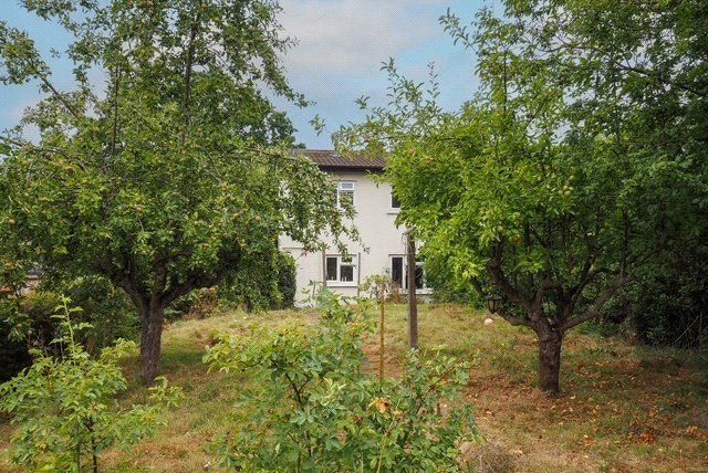 Property photo 3 of 14 Garden