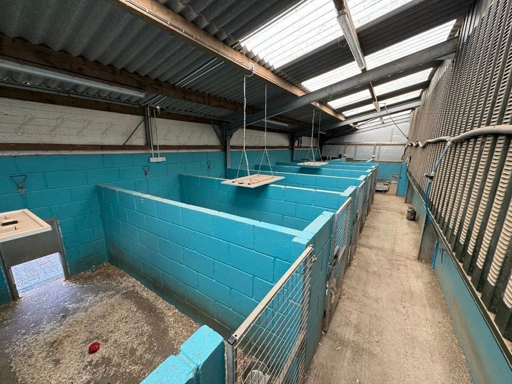 Additional image 23 of Farm for saleTalgarreg, Llandysul SA44