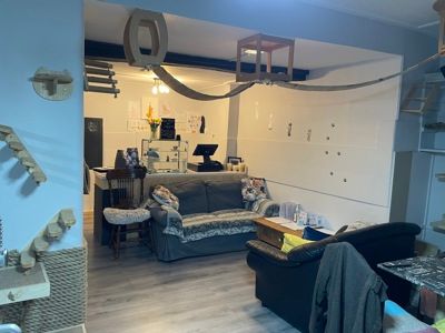 Property photo 3 of 3 Photo 3