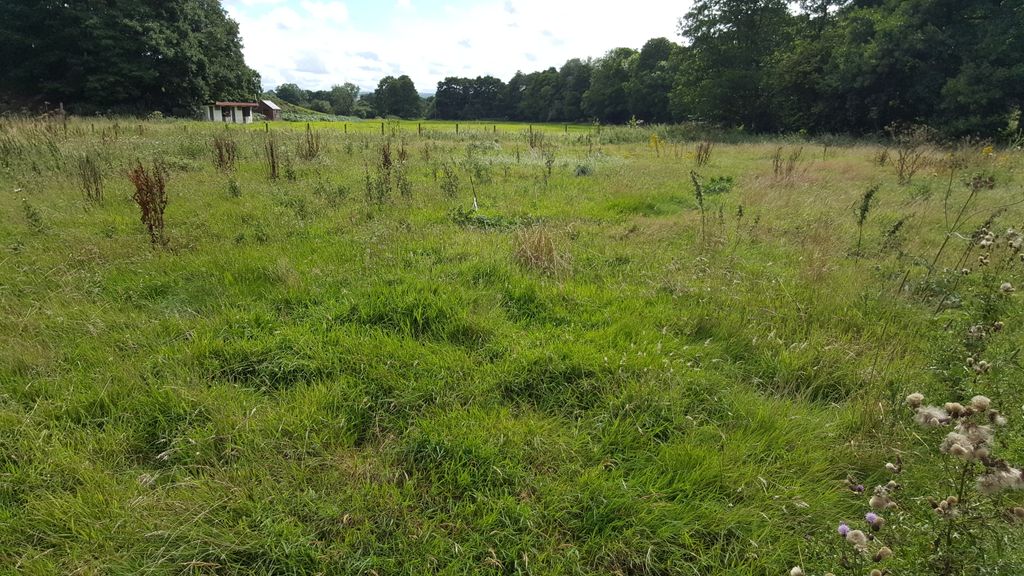 Property photo 1 of 4