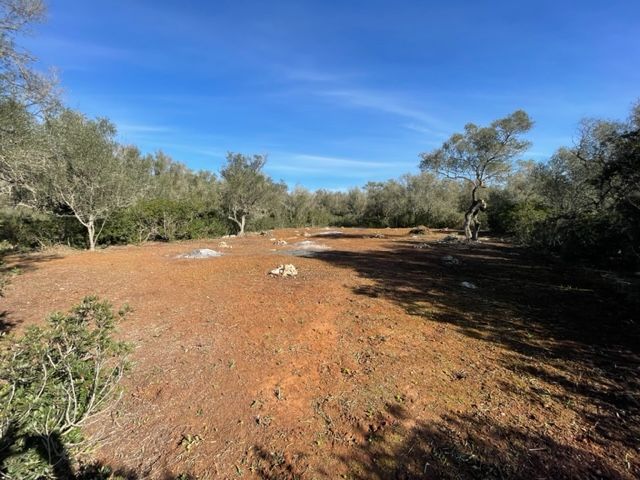 Property photo 3 of 9 02.Jpg