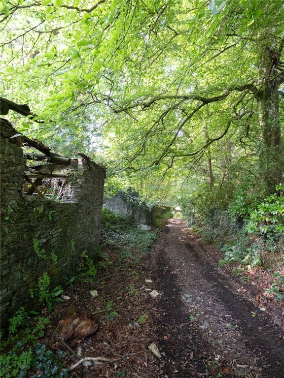 Additional image 6 of Land for saleSt. Martin, Looe, Cornwall PL13
