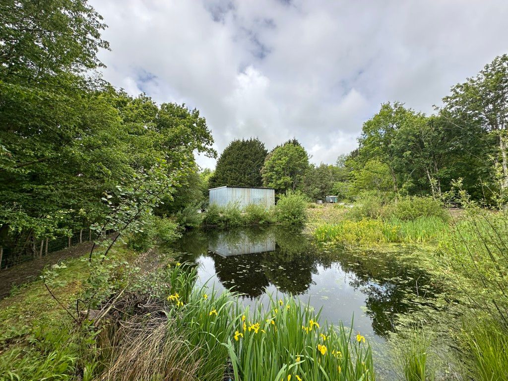 Property photo 1 of 11 Tin Barn With Pond
