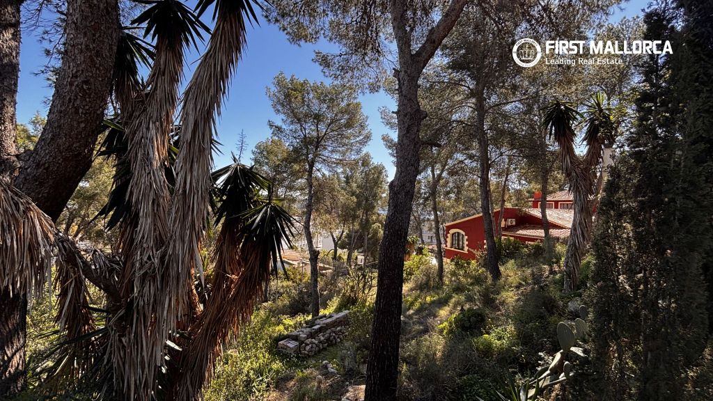 Property photo 2 of 3 83397 2.Jpg