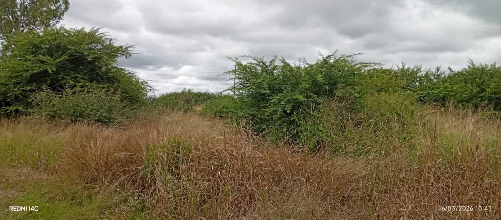 Property photo 1 of 13 Overgrown Field With Tall Brown Grasses And Dense Green Shrubs Beneath A Cloudy Sky.