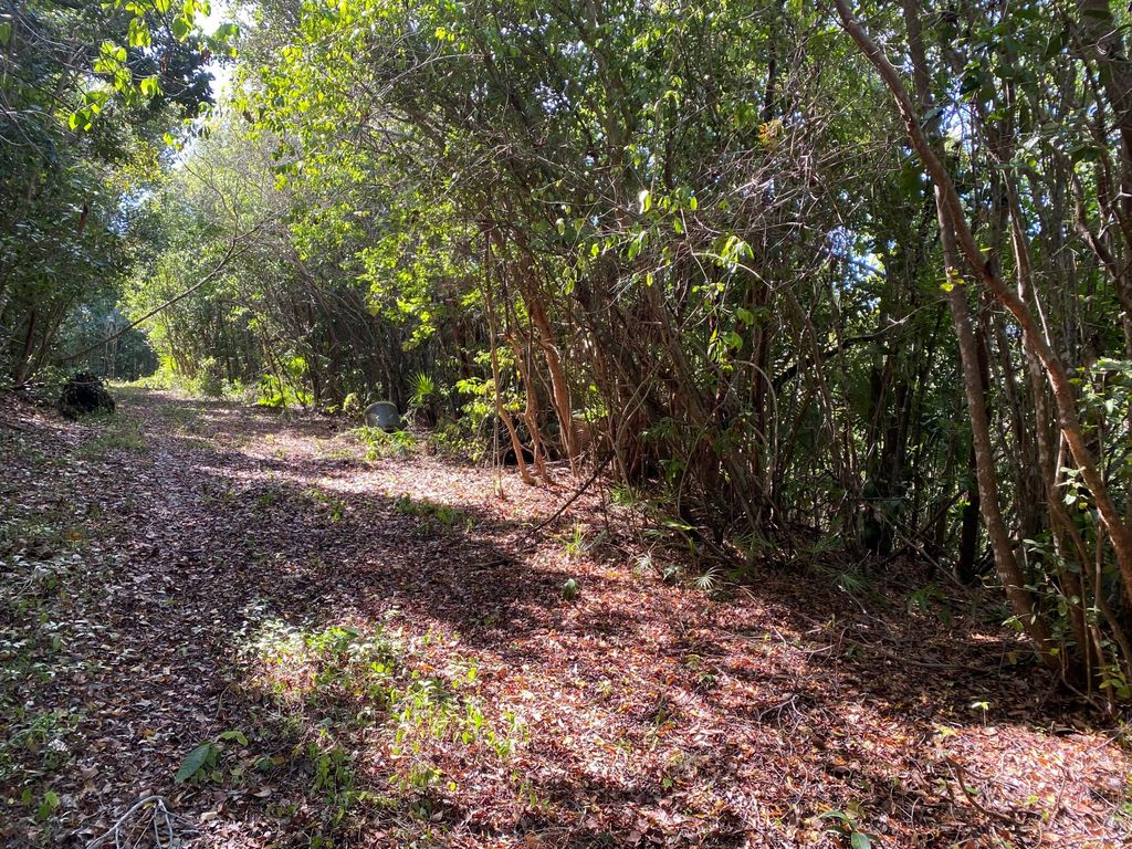 Property photo 3 of 6