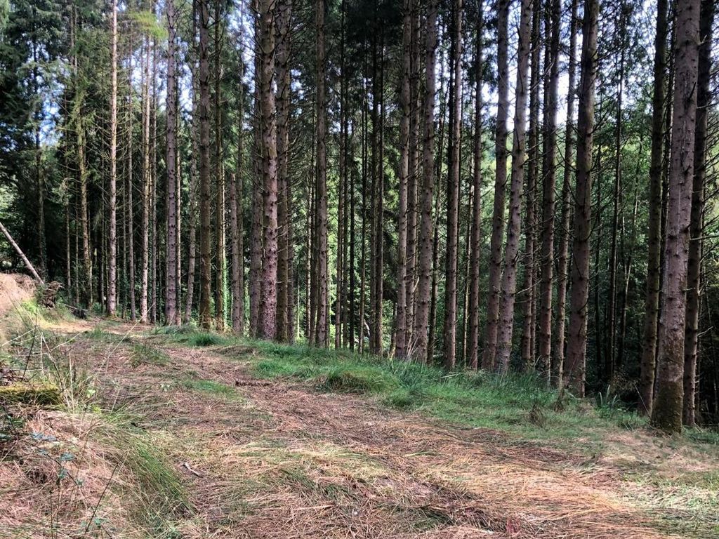 Property photo 2 of 8 Loxbeare Wood