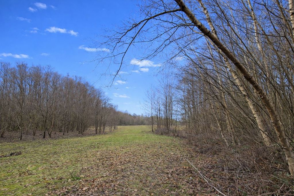 Property photo 2 of 7