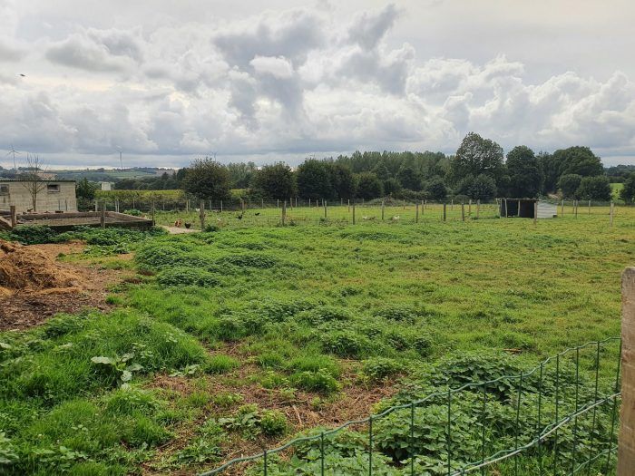 Property photo 2 of 23