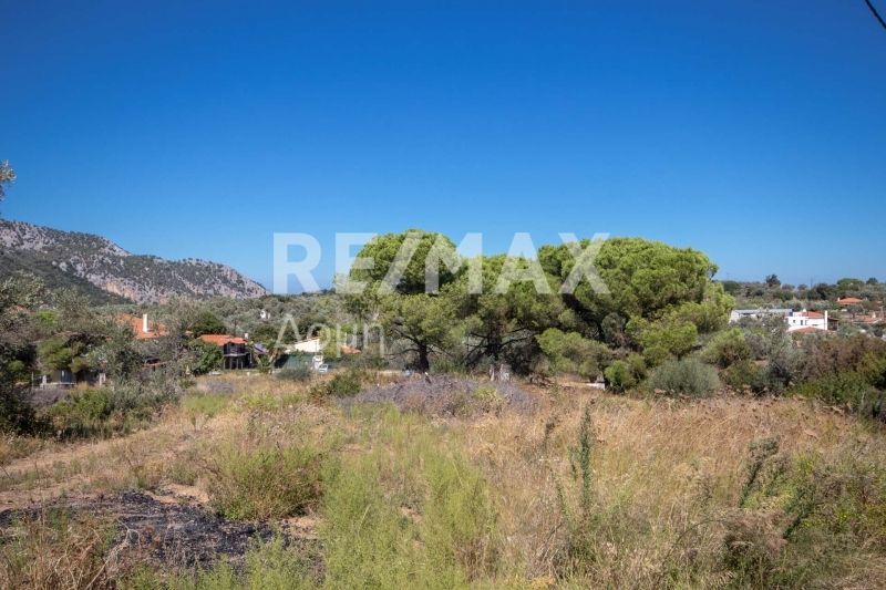 Property photo 1 of 25