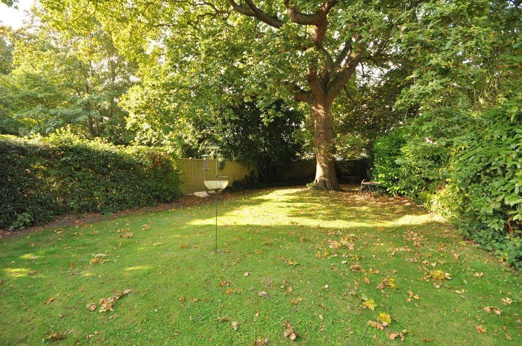 Property photo 2 of 13 S_D1Flw1Q0Qpmigse6Bueq.Jpg