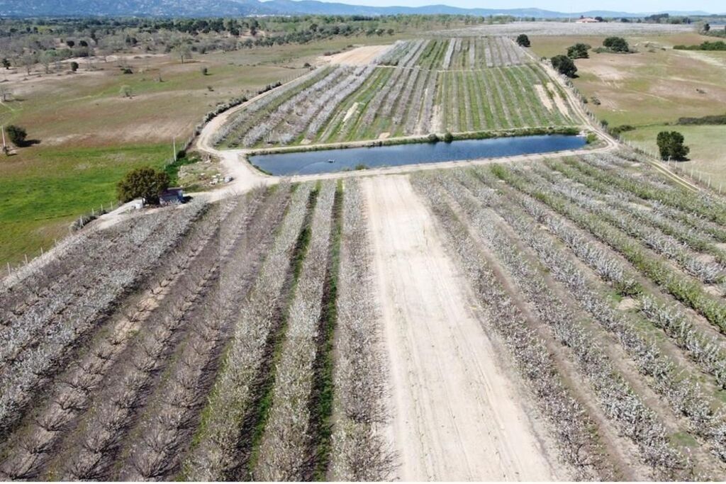 Property photo 1 of 34 Sale Of Farm With Cherry And Peach Production