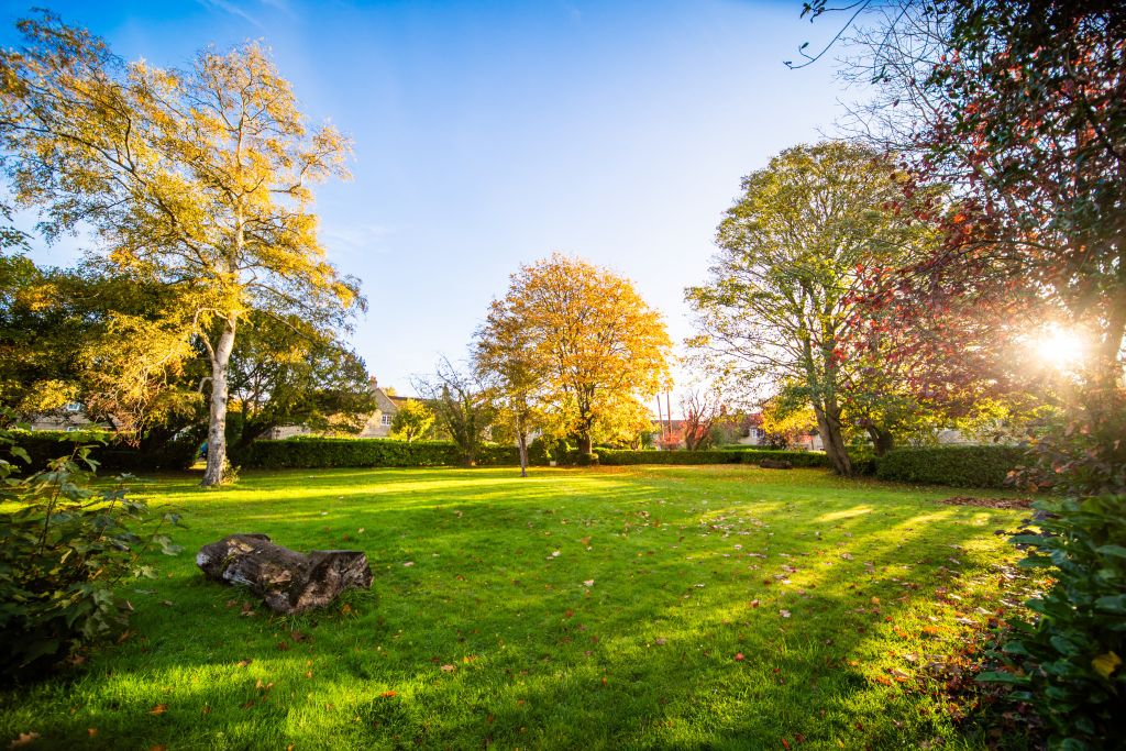 Property photo 3 of 15