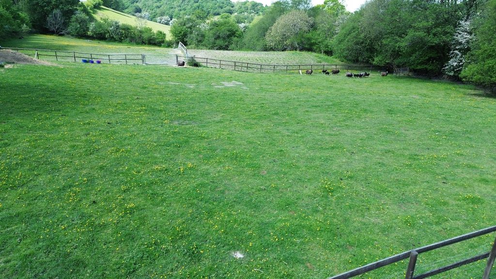 Property photo 3 of 31