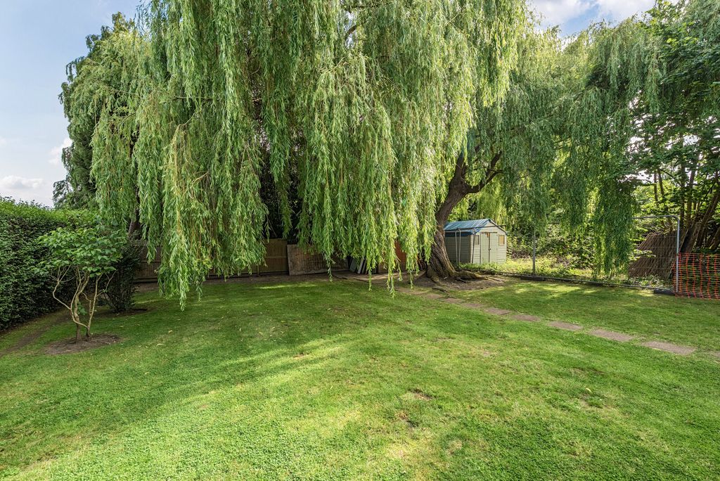 Property photo 2 of 21 1479784-4-6A31741...