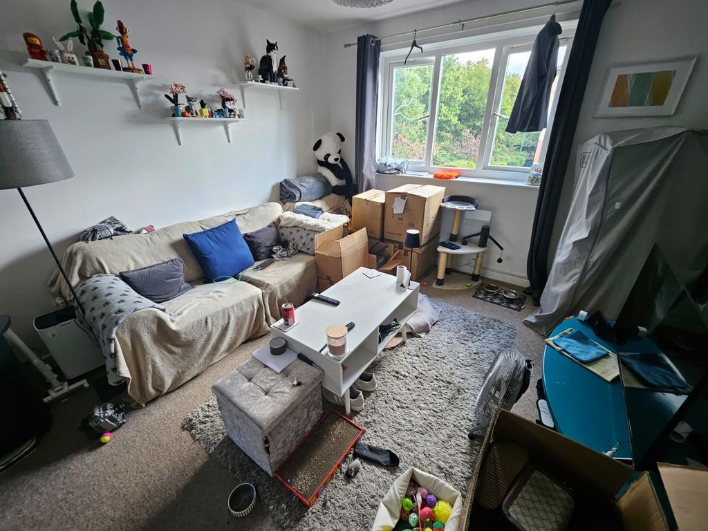 Property photo 3 of 10 Photo 13