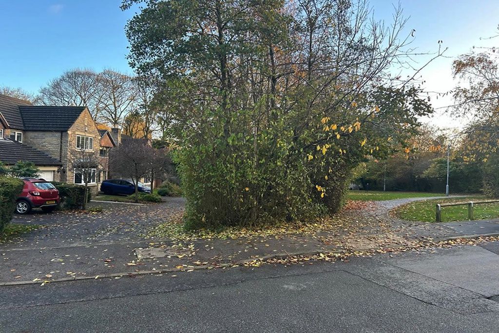 Property photo 3 of 7