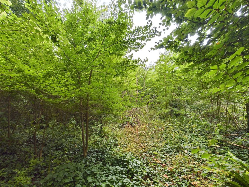 Property photo 2 of 6 Picture No. 03