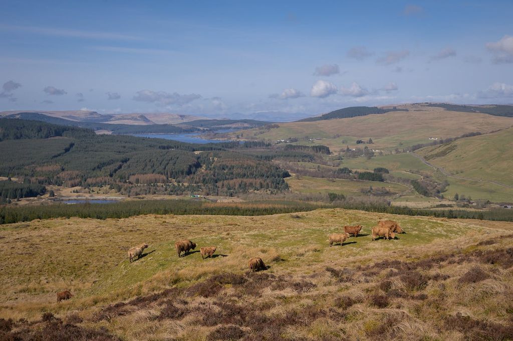 Property photo 1 of 13 Darrachhill-77.Jpg
