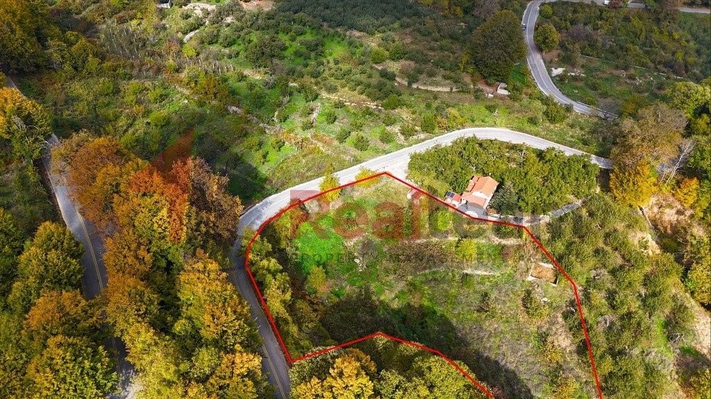 Property photo 2 of 24