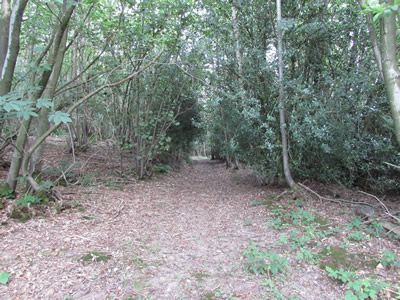 Property photo 2 of 17