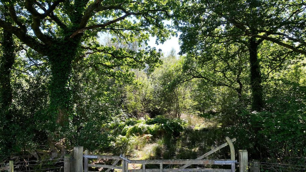 Property photo 3 of 5 Pand W.Jpg