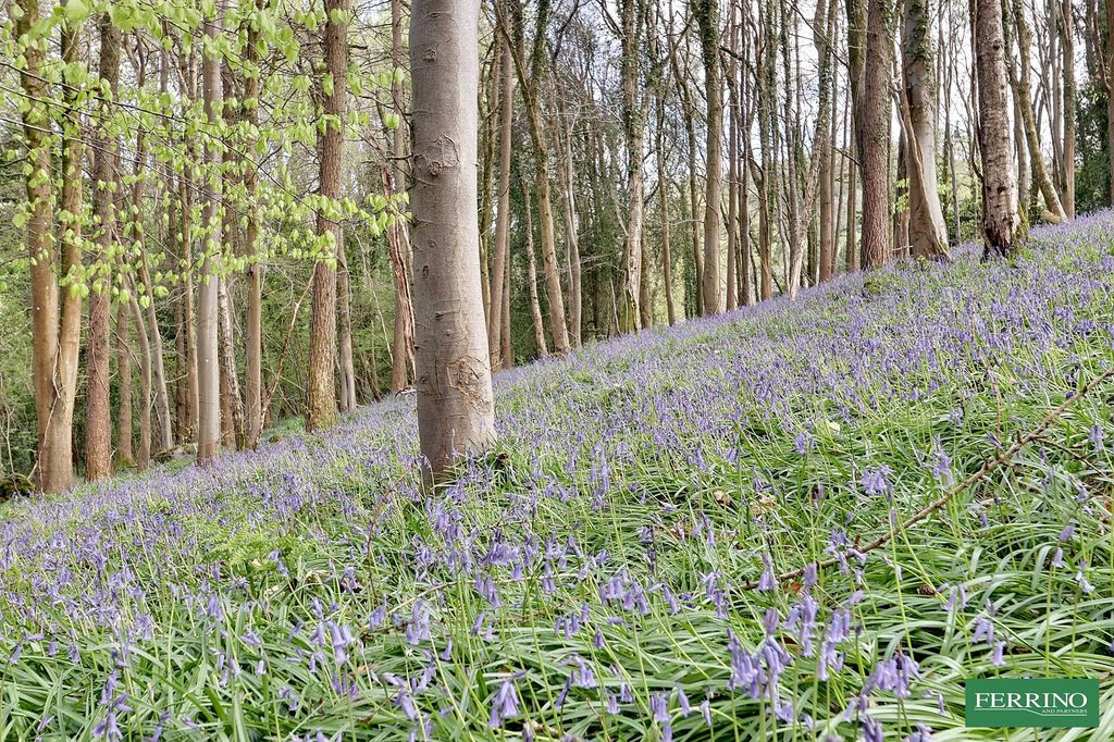 Property photo 2 of 32 Woodland