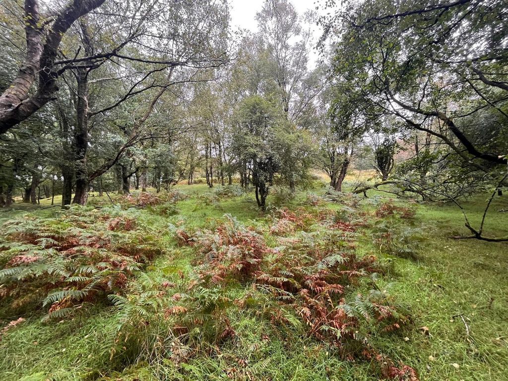 Property photo 3 of 9 Woodland 4.Jpg