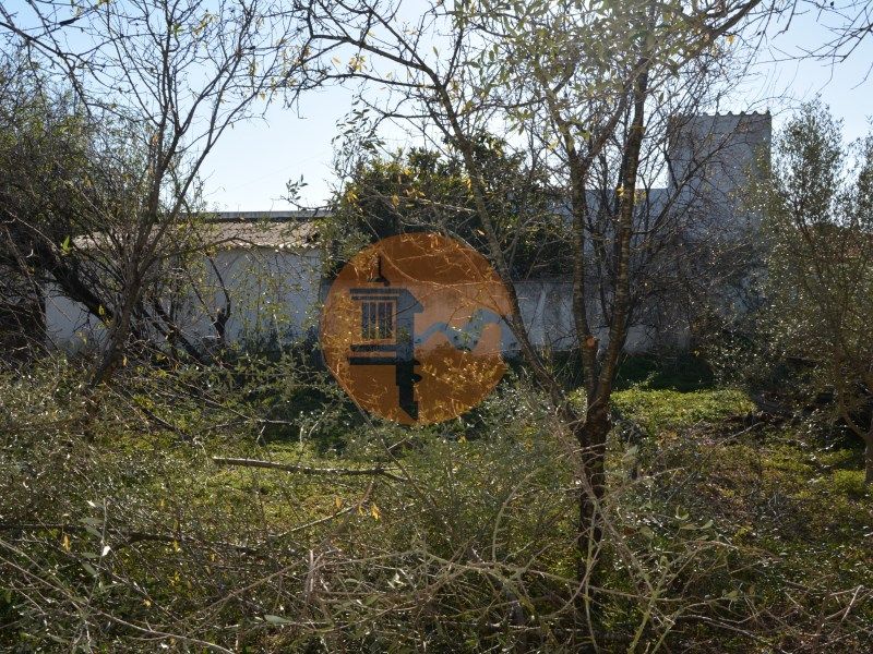 Property photo 1 of 54