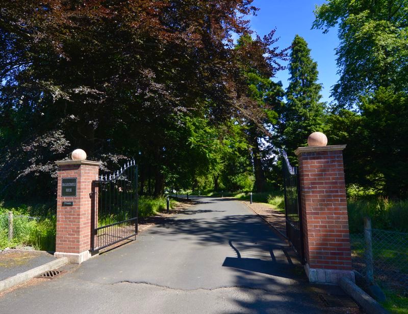 Property photo 3 of 21 Photo 21