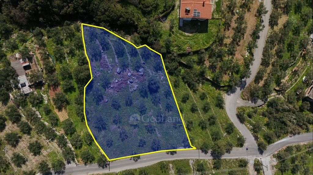 Property photo 3 of 26