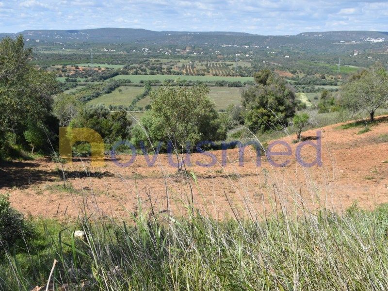Property photo 2 of 30