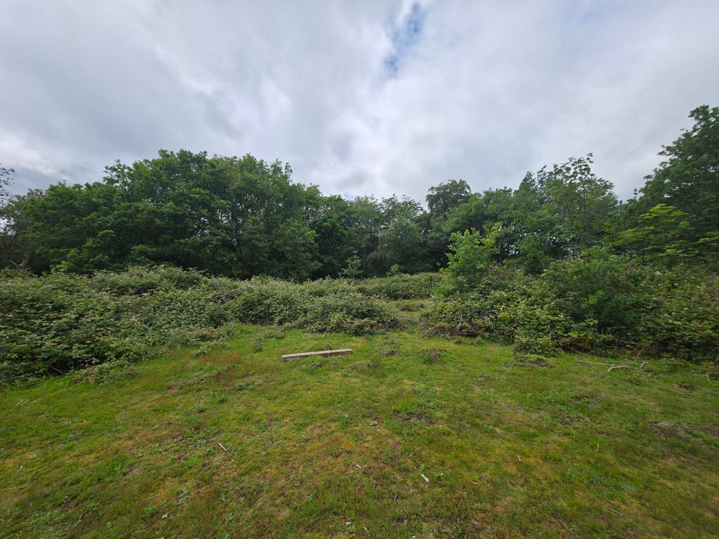 Property photo 3 of 8 20260612_134901