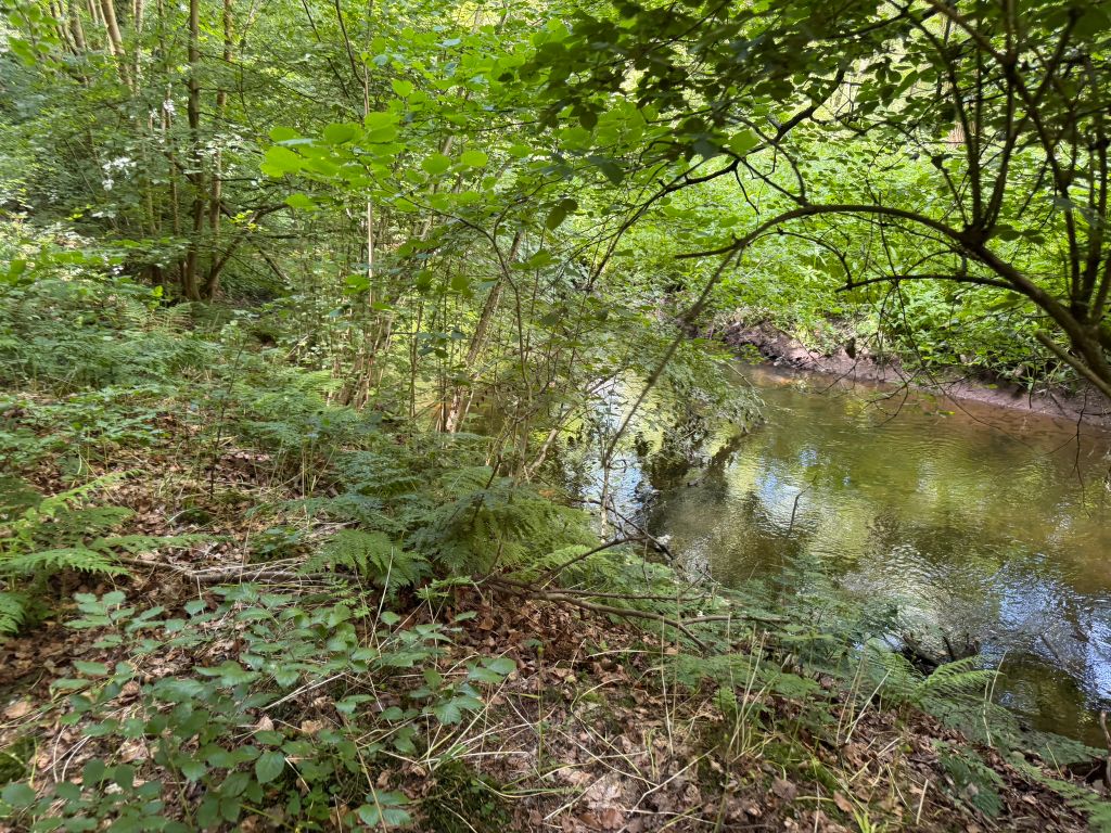 Additional image 12 of Farm for saleGreensforge Lane, Stourbridge DY7